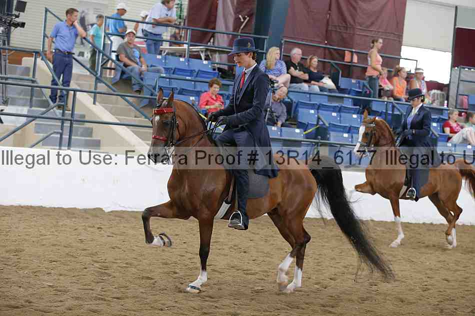 Proof Number 13r14_6177