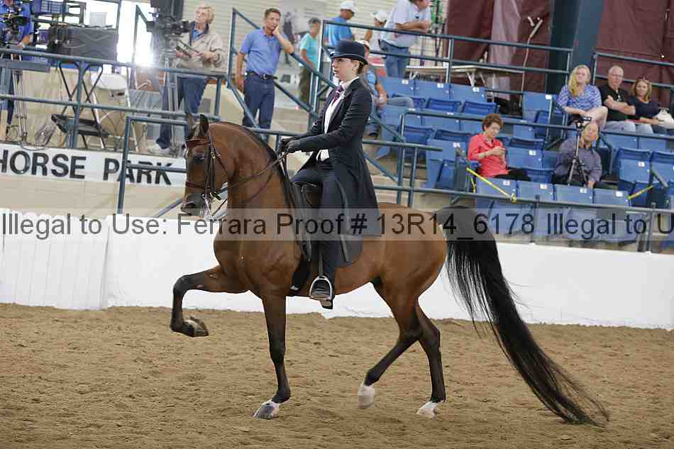 Proof Number 13r14_6178
