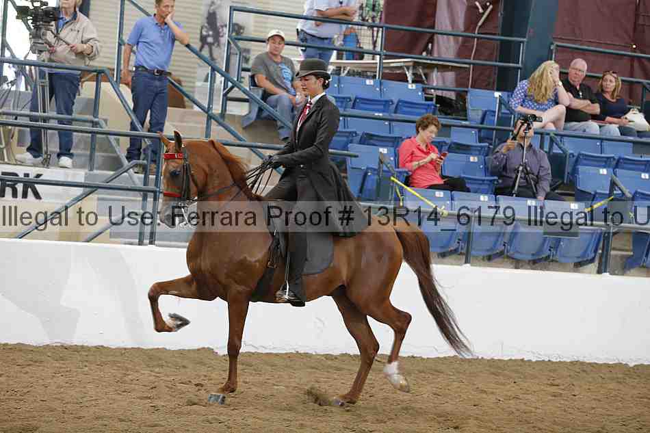 Proof Number 13r14_6179