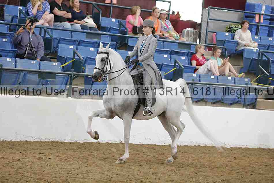Proof Number 13r14_6181