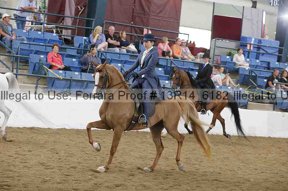 Proof Number 13r14_6182