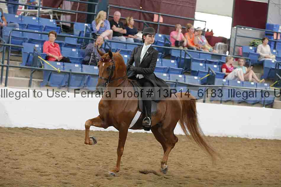 Proof Number 13r14_6183