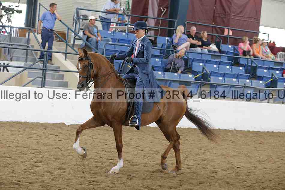 Proof Number 13r14_6184