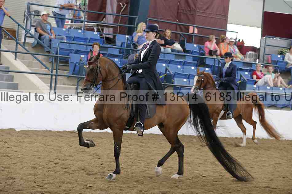 Proof Number 13r14_6185