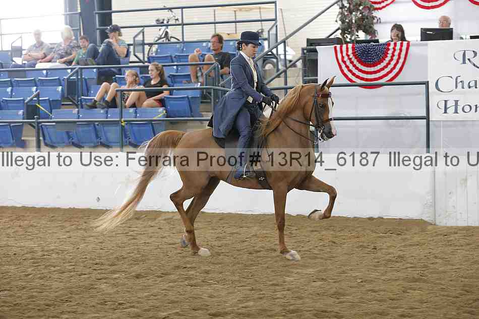 Proof Number 13r14_6187