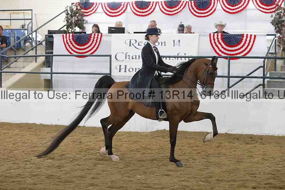 Proof Number 13r14_6188