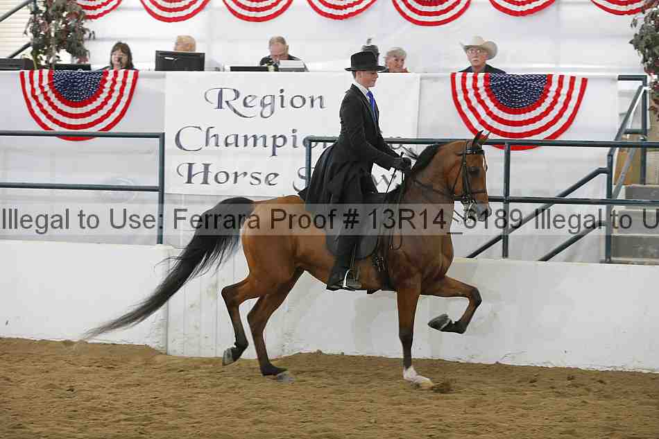 Proof Number 13r14_6189
