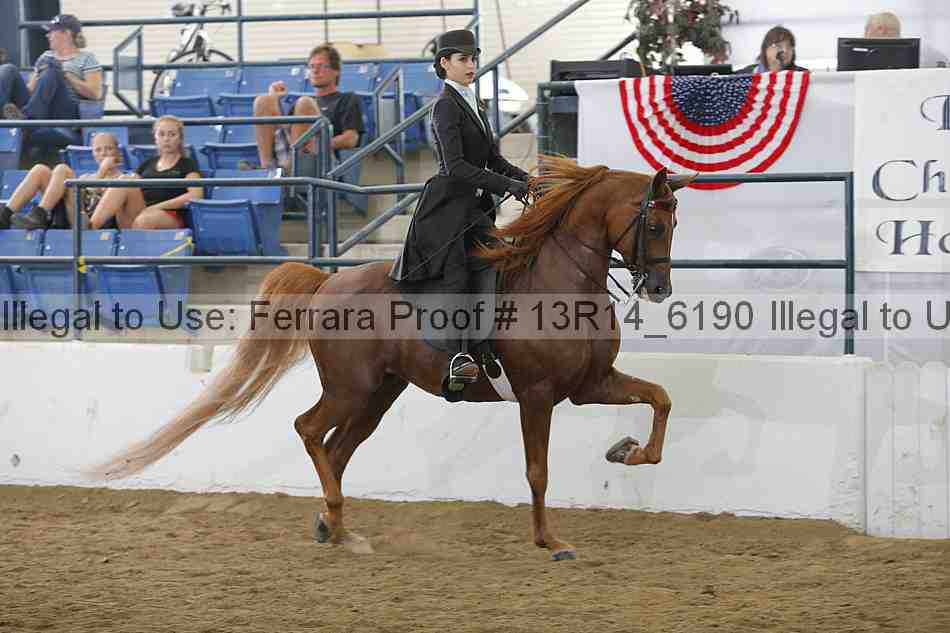 Proof Number 13r14_6190
