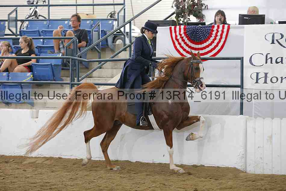 Proof Number 13r14_6191