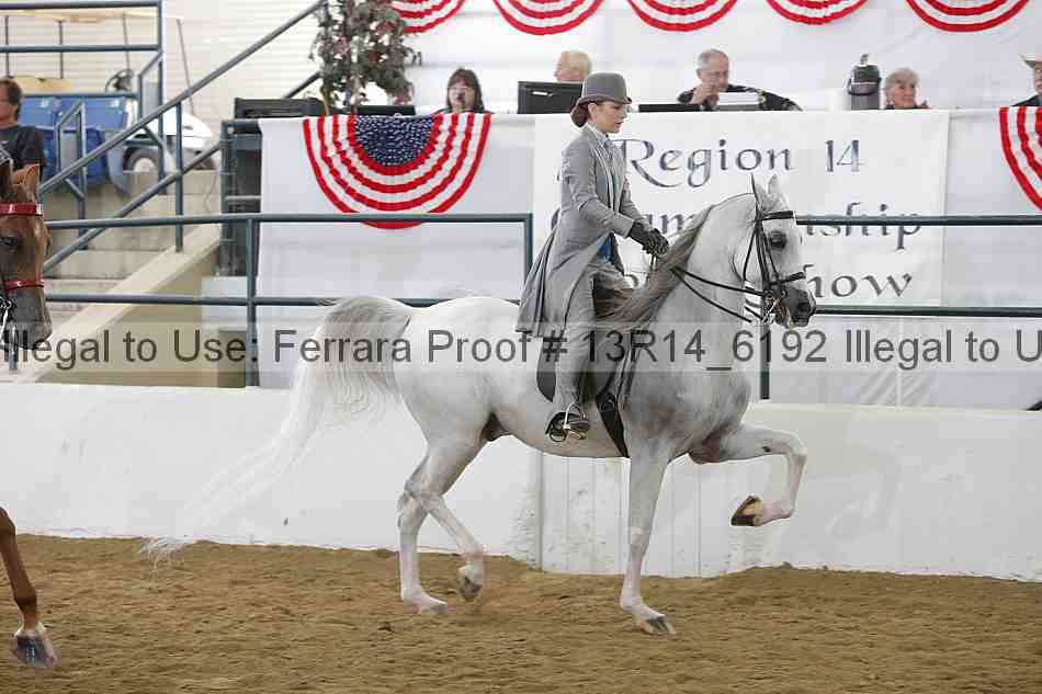Proof Number 13r14_6192