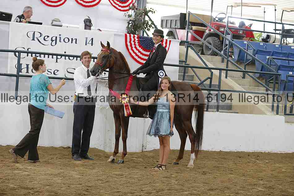 Proof Number 13r14_6194