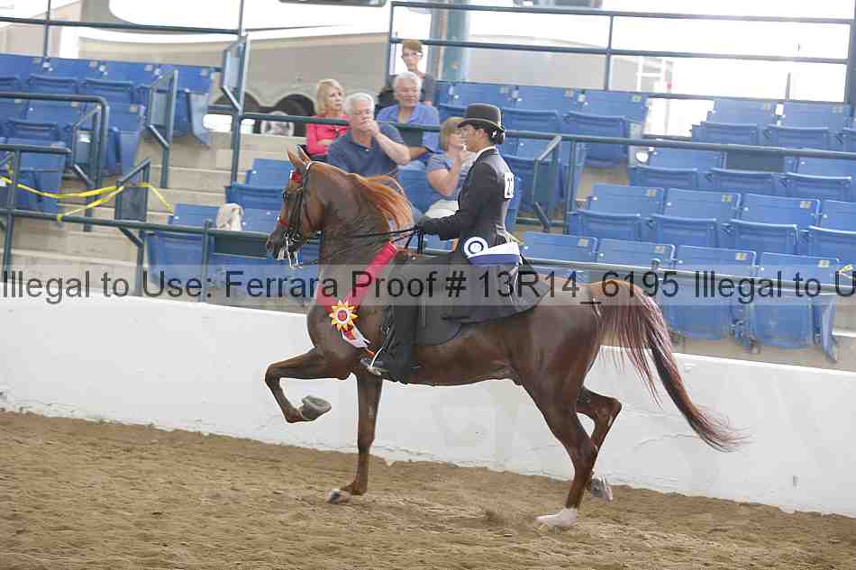 Proof Number 13r14_6195