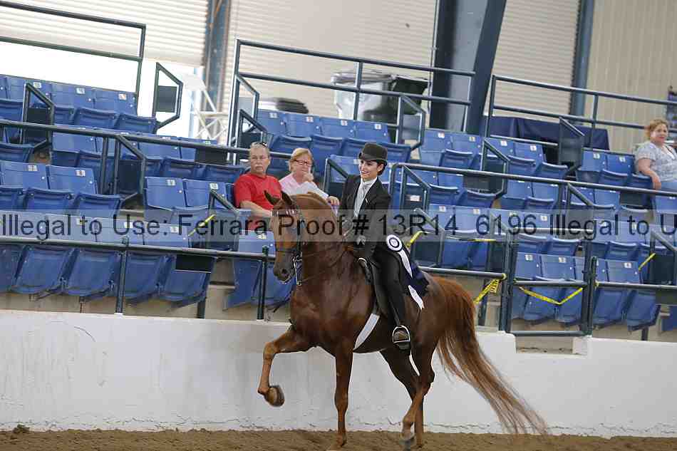 Proof Number 13r14_6196