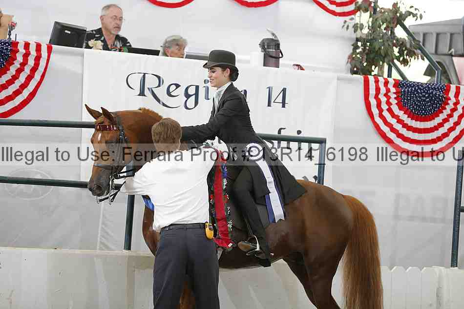 Proof Number 13r14_6198