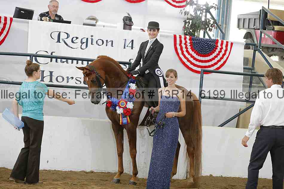 Proof Number 13r14_6199