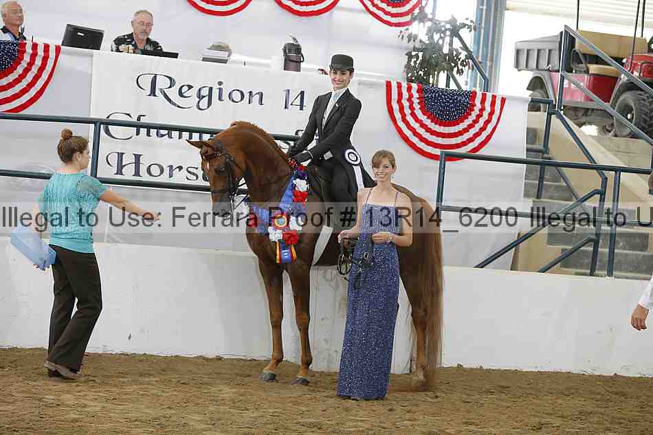 Proof Number 13r14_6200