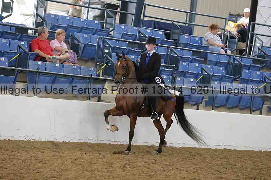 Proof Number 13r14_6201