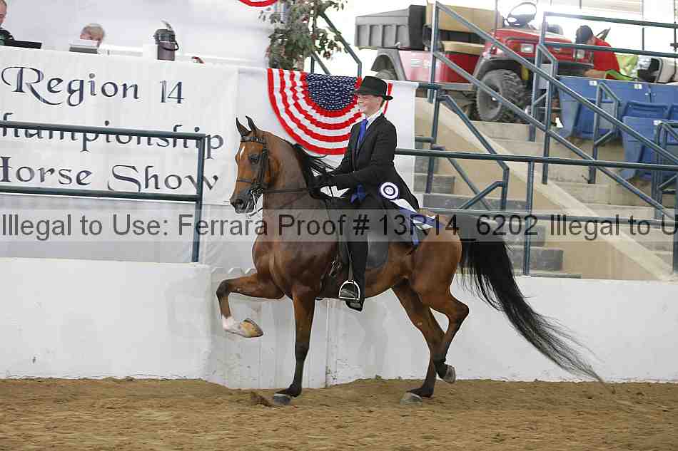 Proof Number 13r14_6202