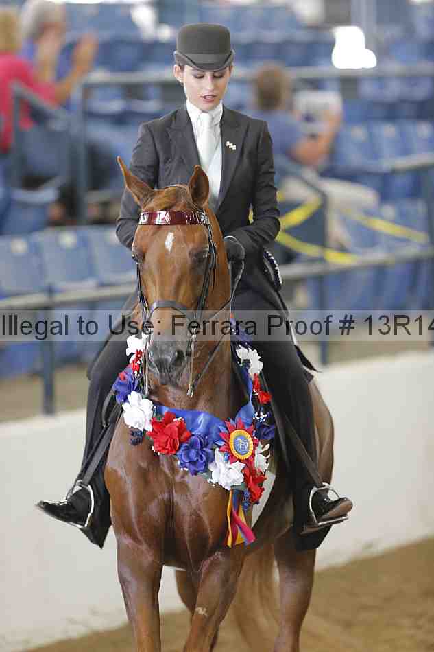 Proof Number 13r14_6203
