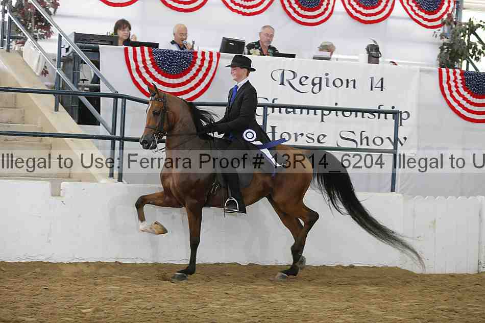 Proof Number 13r14_6204
