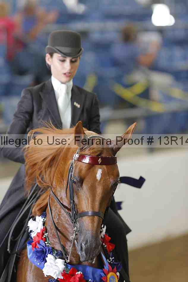 Proof Number 13r14_6205