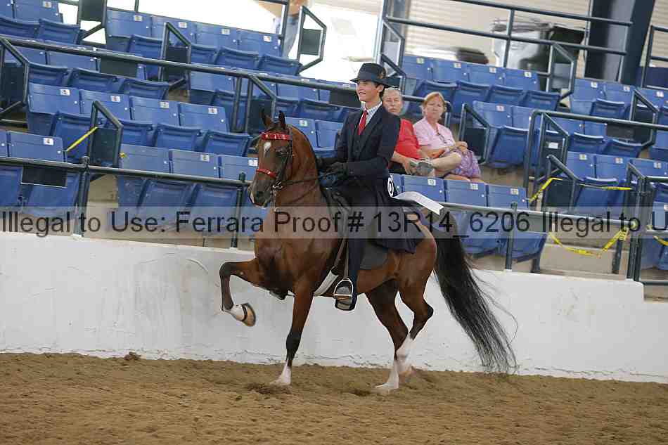Proof Number 13r14_6206