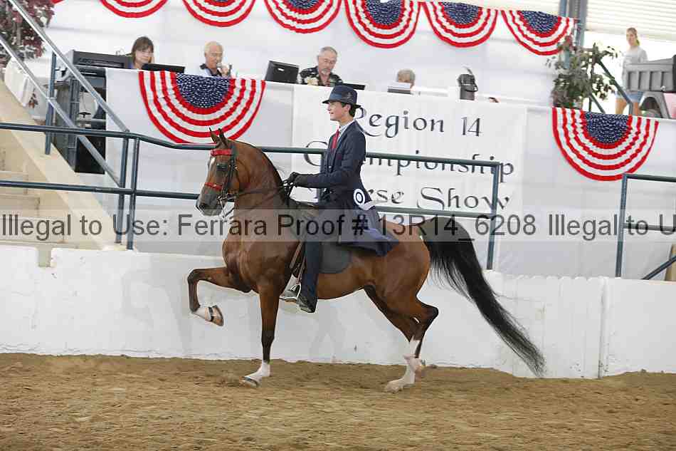 Proof Number 13r14_6208
