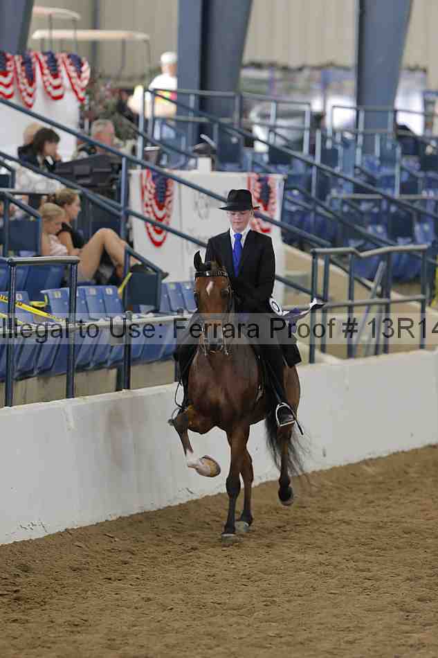 Proof Number 13r14_6209