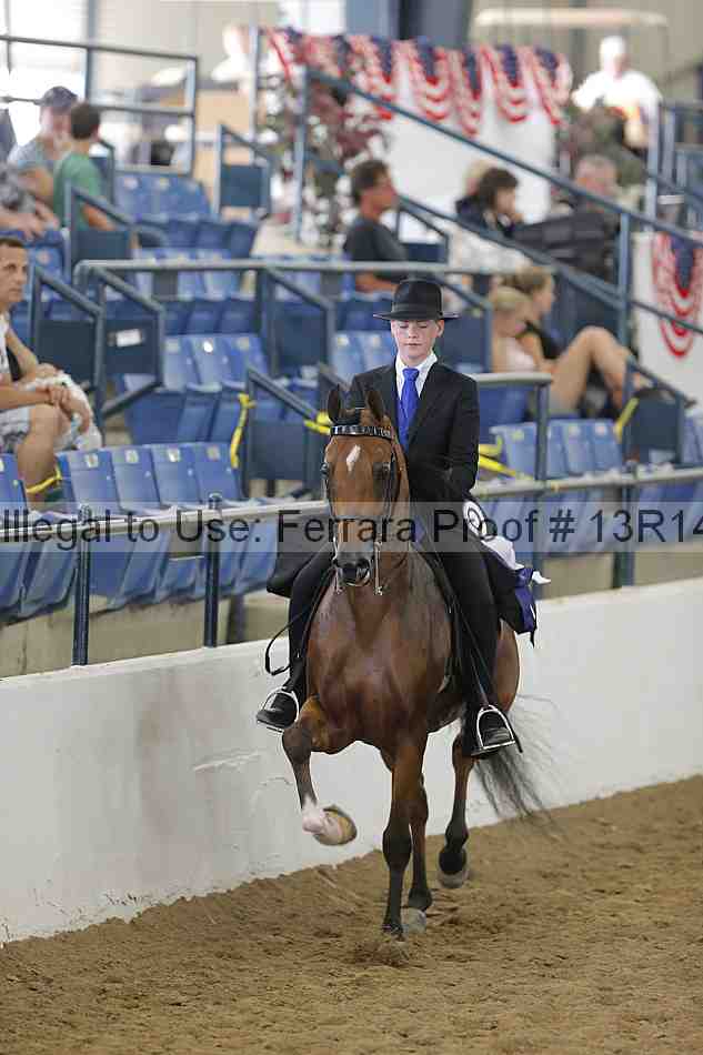 Proof Number 13r14_6210