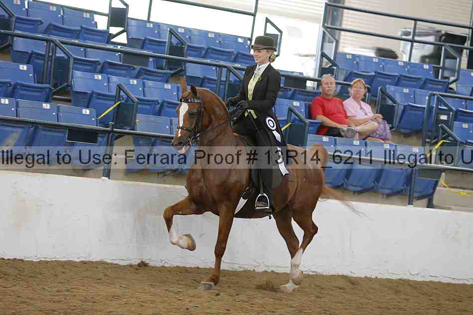 Proof Number 13r14_6211