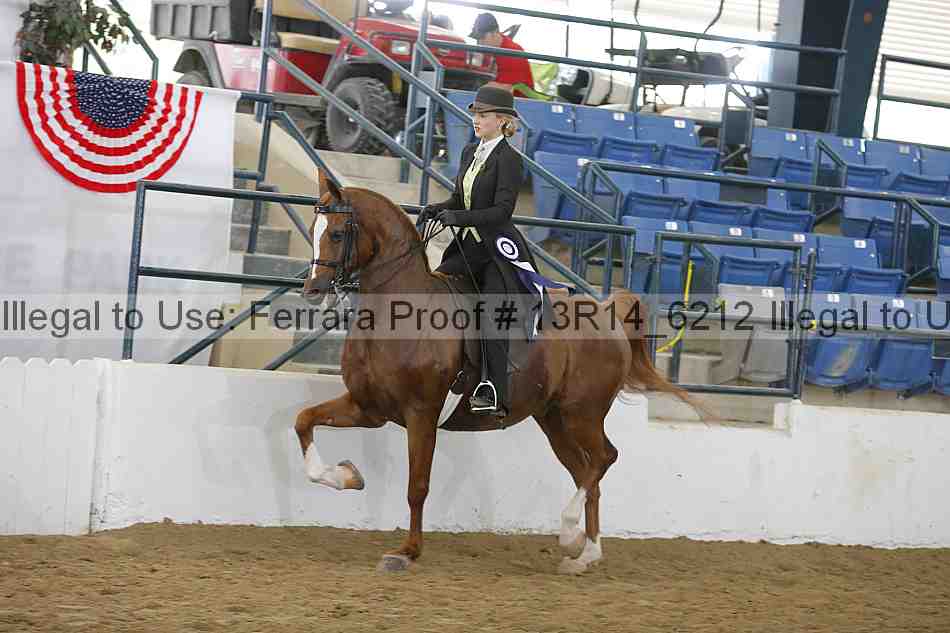 Proof Number 13r14_6212