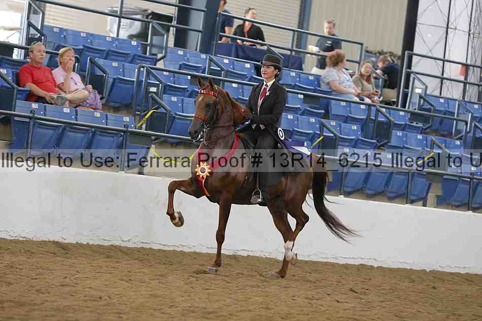 Proof Number 13r14_6215