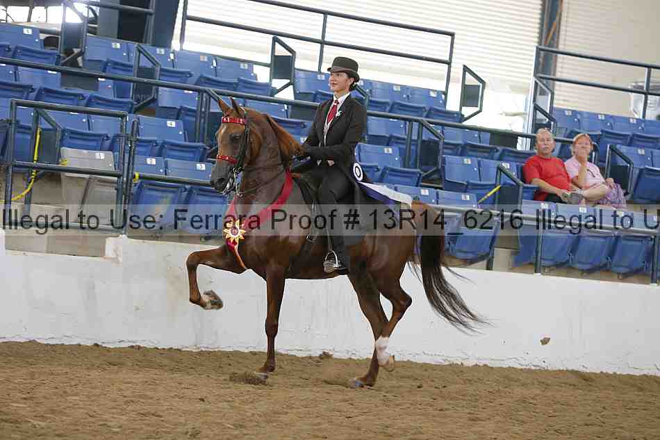 Proof Number 13r14_6216