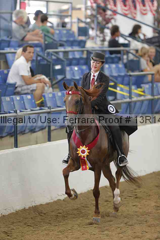 Proof Number 13r14_6217