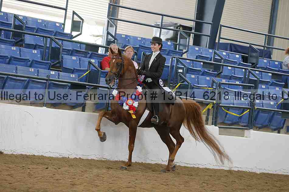 Proof Number 13r14_6218