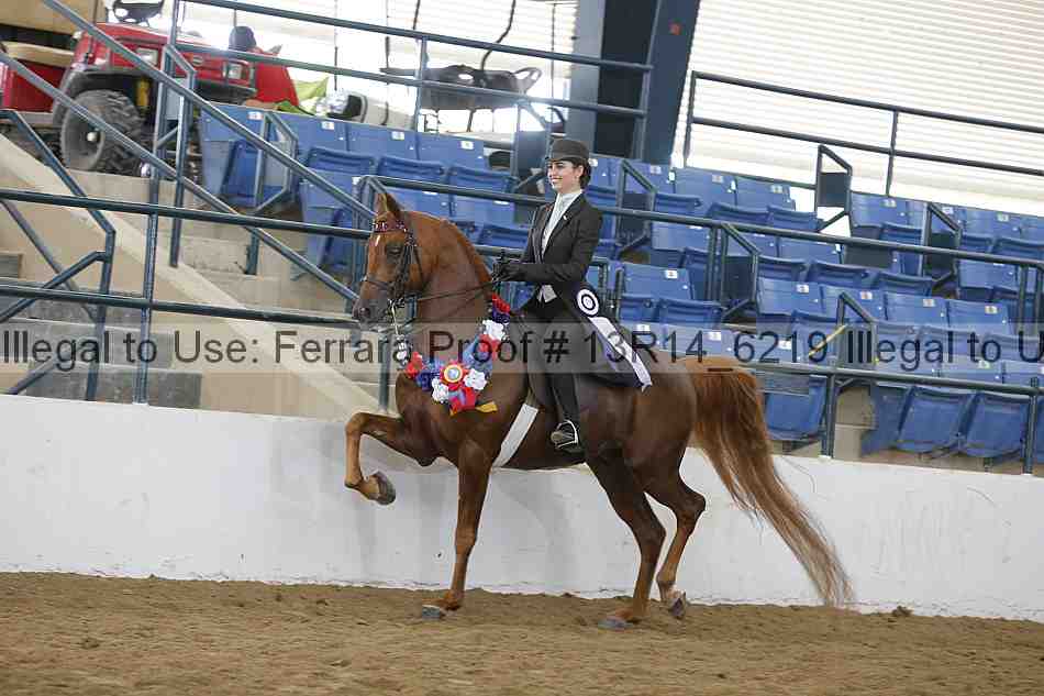 Proof Number 13r14_6219