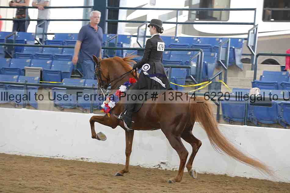 Proof Number 13r14_6220