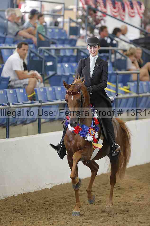 Proof Number 13r14_6221