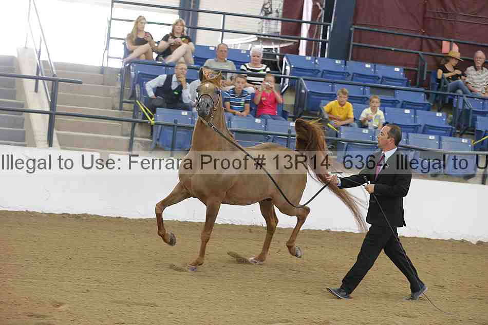 Proof Number 13r14_6364