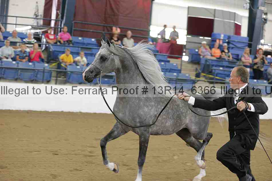 Proof Number 13r14_6366