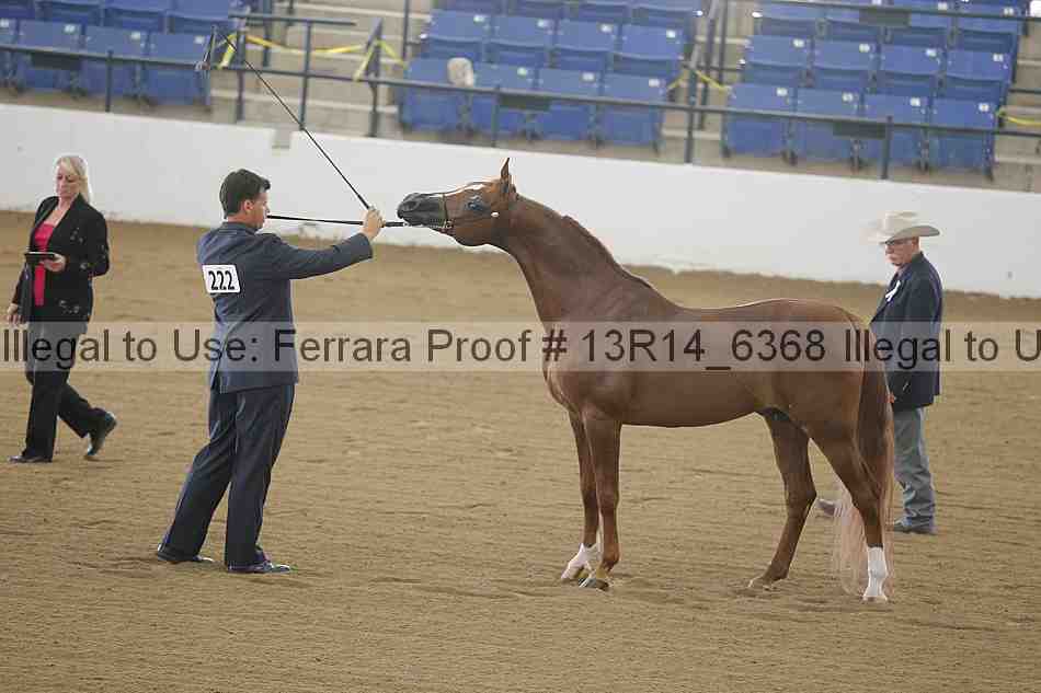Proof Number 13r14_6368