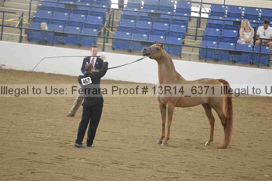 Proof Number 13r14_6371