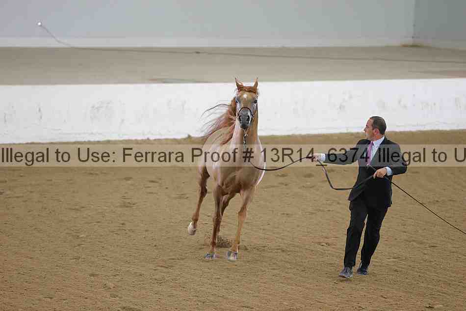 Proof Number 13r14_6374