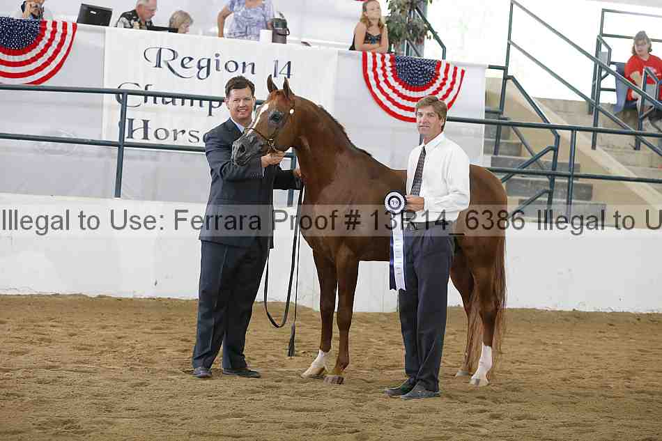 Proof Number 13r14_6386