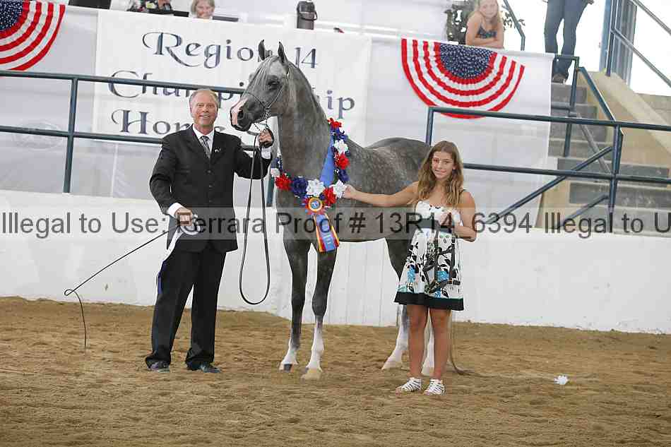 Proof Number 13r14_6394