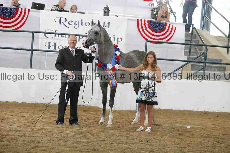 Proof Number 13r14_6395