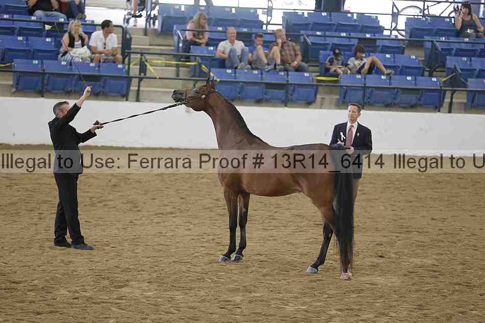 Proof Number 13r14_6414