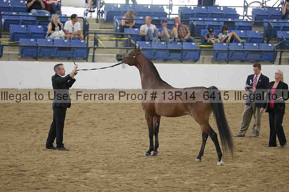Proof Number 13r14_6415