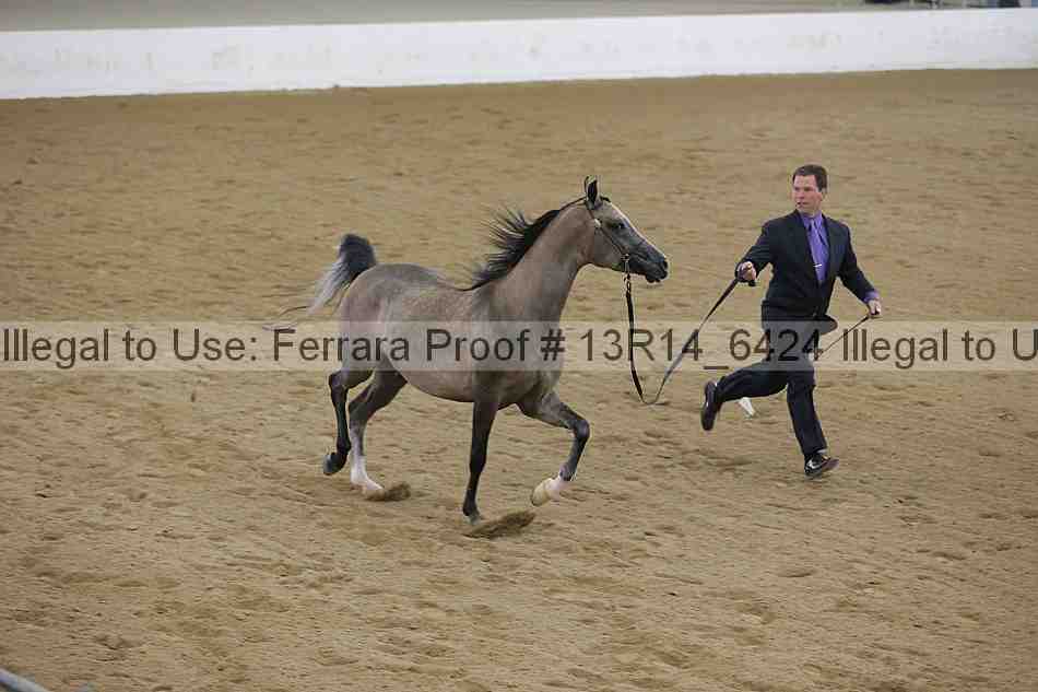 Proof Number 13r14_6424