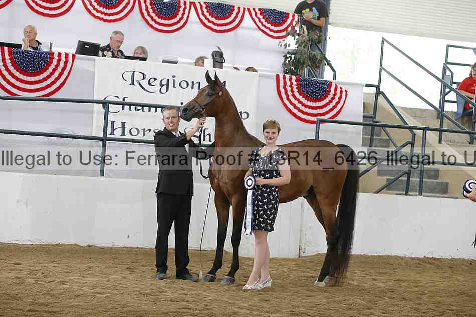 Proof Number 13r14_6426